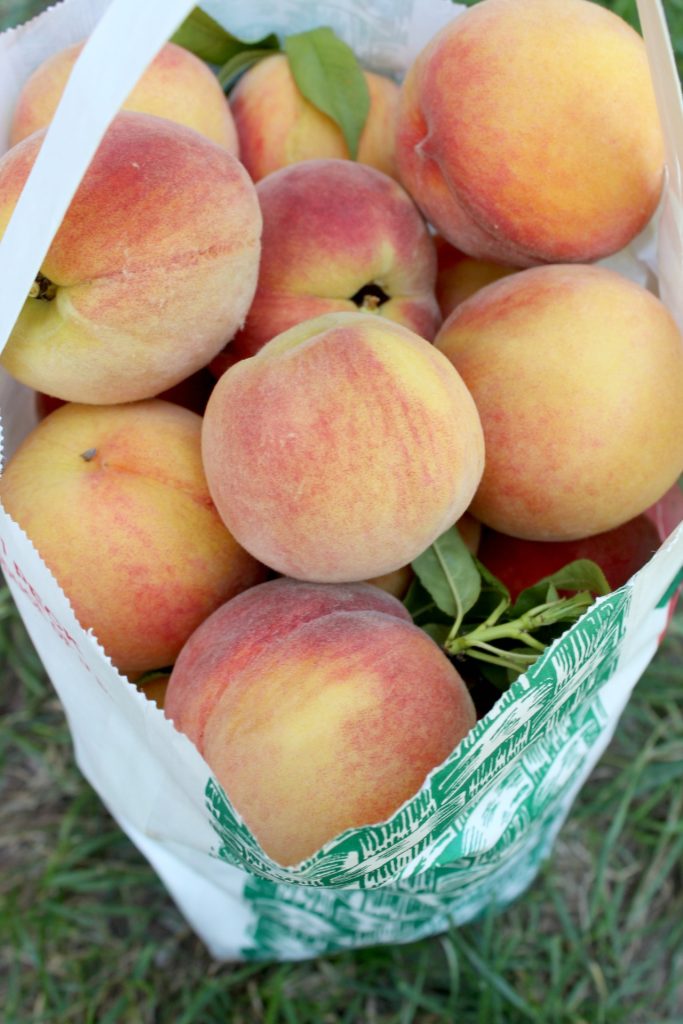 a bag of peaches
