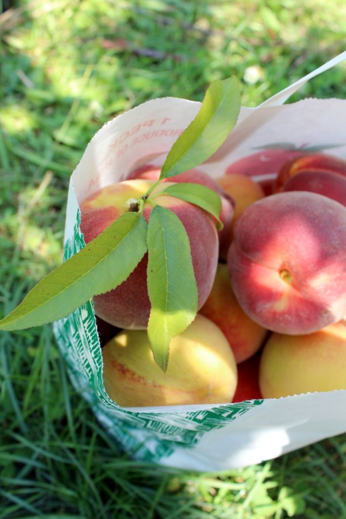 peaches in a bag