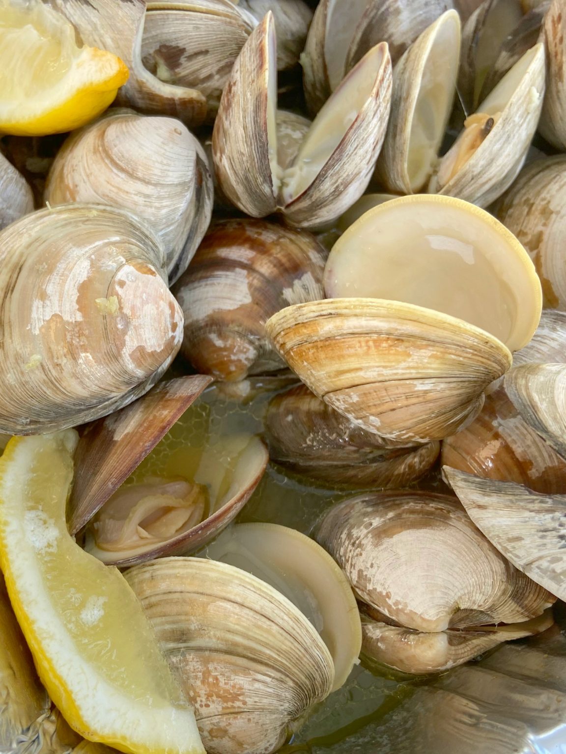 Beer-Steamed Clams | Johanny's Kitchen